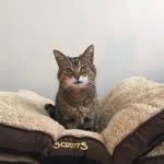 Aileen Connolly - @aileen.connolly.771 - Instagram
