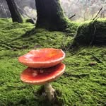 Eileen Cullen - @eileen.cullen.52 - Instagram