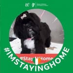 Eileen D'Arcy Cullen - @eileen.cullen.336 - Instagram