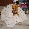 aileendale - @aileendale54 - TikTok