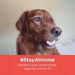 Eileen Dolan - @eileen.dolan.750 - Instagram
