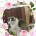 Aileen Emery - Facebook