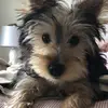 aileenandemerymain - @aileenandemerymain - TikTok