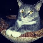 Eileen Lewitt Feldman - @elf292024 - Instagram