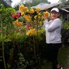 Aileen Galvez_01 - @aileengalvez_01 - TikTok