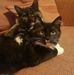 Aileen Gibson - Facebook