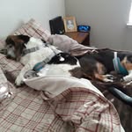 Eileen Goodwin - @eileengoodwin8 - Instagram