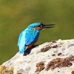 Aileen Hodgson - Facebook