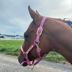 Eileen Hoffman - @ehoff1206 - Instagram
