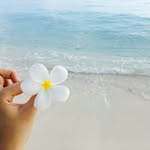 aileen house - @aileenhouse02 - Instagram