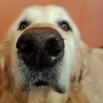 Aileen Hull - @aileen_m_hull - Instagram