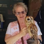 Aileen Johnston - @aileenjohnston738 - Instagram