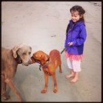 Aileen Johnston - @aileenjohnstonart - Instagram