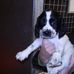 Aileen Johnston - Facebook
