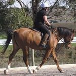 Aileen Johnston - @aileen.v.johnston - Instagram