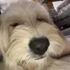 Aileen Lim - @ai1eeen - TikTok