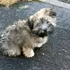 Aileen Mahon - @aileenmahon - TikTok