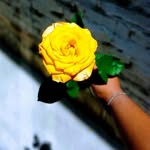 Aileen Manuel Crisantos Mauel - @aileenmanuelcrisantos - Instagram