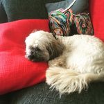 Aileen McKenna - @joey_mckennaa - Instagram