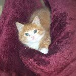 Eileen Finigan-Mcnulty - @elm1958 - Instagram