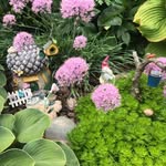 Eileen McNulty Whitlock - @eileenmcnultywhitlock - Instagram