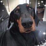 Aileen Meredith - @aileen.meredith.3 - Instagram