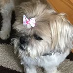 Aileen Moore - @aileen_m_moore - Instagram
