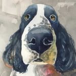 Aileen O'Donnell - @odonnell.aileen - Instagram