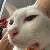 oliver aileen - @oliver.aileen1 - TikTok