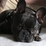 Aileen Richmond - @aileen_rich - Instagram