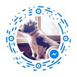 Aileen Ann Robertson - @aileen.robertson1 - Instagram