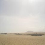 Aileen Robertson - @ailerbrts3 - Instagram