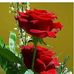 Aislin Rosendo - Facebook