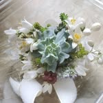 Aileen Samson-R - @planted_by_asamr - Instagram