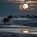Eileen Savage - Facebook