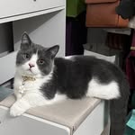 Aileen Shen - @ailing5492 - Instagram