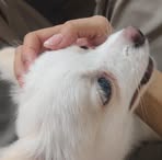 Eileen Shen - Facebook