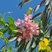 Vidal Aileen - Facebook