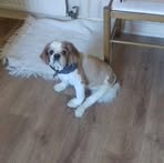 Aileen Wallace - Facebook