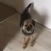 aileenwallace13 - @aileenwallace13 - TikTok