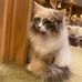 Yoshida Aileen - Facebook