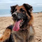 Ailsa Thomas - @skydog1301 - Instagram
