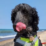 Ailsa Thomas Getts - @anendorn - Instagram
