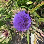 Ailsa Wilson - @ailsa1420 - Instagram