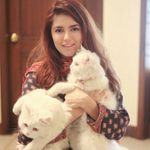 Aiman - @aiman_farooq_ - Instagram