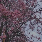 Aiman Farooq - @my_uk_diaryyy - Instagram