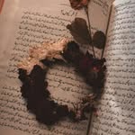 aiman farooq - @aimanfarooq934 - Instagram