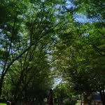 Aiman Farooq - @aiman.farooq2738 - Instagram