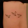 Aimar Martinez - @aimar.martinez007 - TikTok