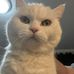 Amy Bachman - Facebook